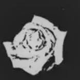 creator I-simp-for-mafioso's avatar