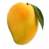 creator mangolover4ever's avatar