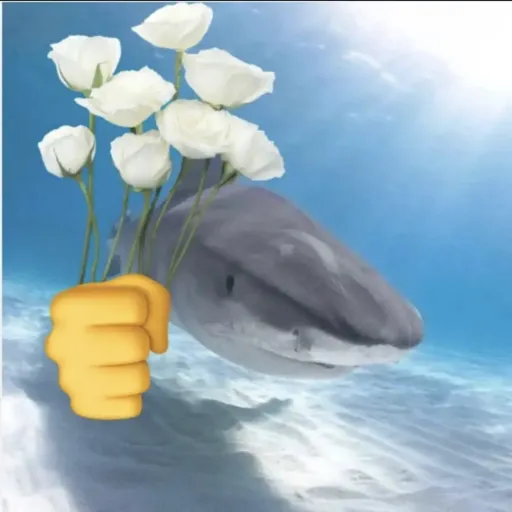 creator 鲨鲨花's avatar