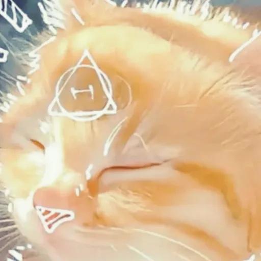 creator kitty_cat_M3's avatar