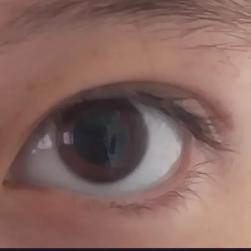 creator Vixienvee's avatar