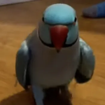 creator Hehe213's avatar