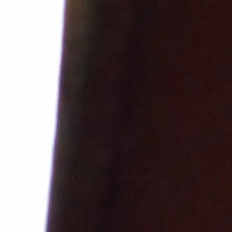 creator The Speed's avatar