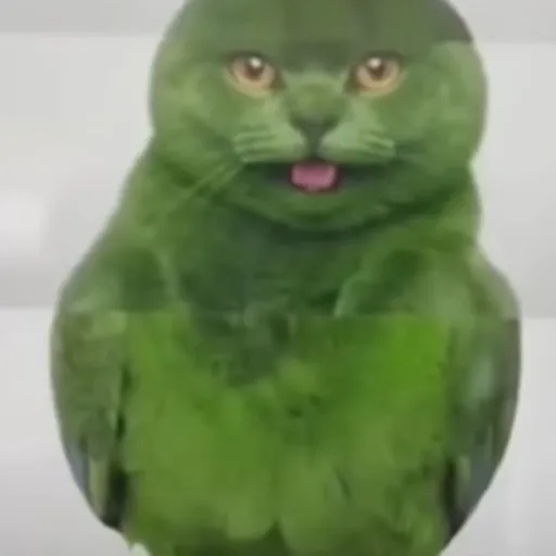 creator greenrunningcat's avatar