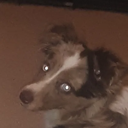 creator The Malfoy Family's avatar