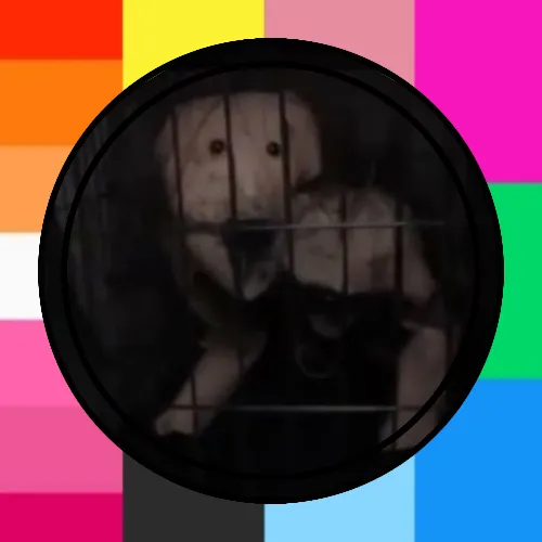 creator 🐾✨~ PH0EBE ~✨🐾's avatar