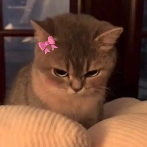 creator N0t_Lau.xx's avatar