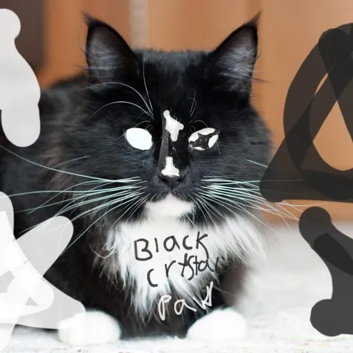 creator deathnotepaw2835@¢'s avatar