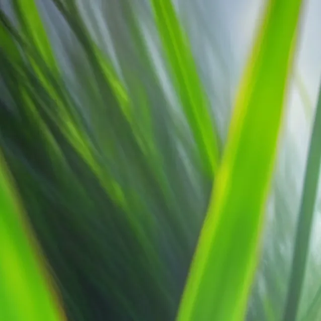 chat with ai character: Grassy