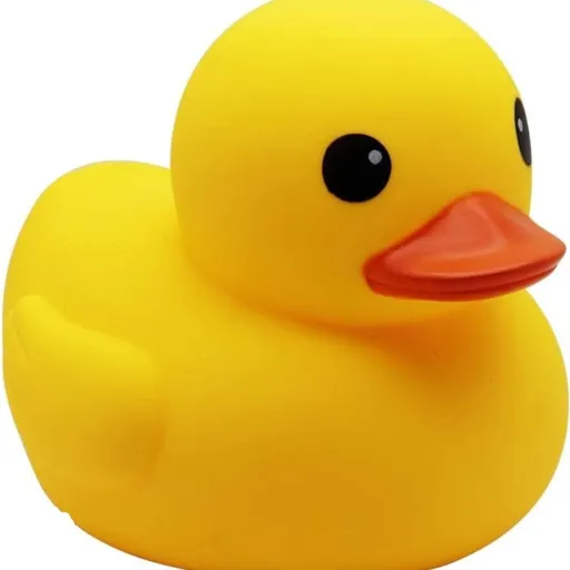 creator the rubber ducky's avatar