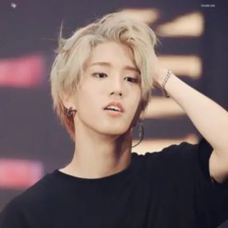 creator Stray kids 4 life's avatar