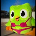 creator Duolingo is hot's avatar