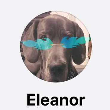 talkie's author avatar