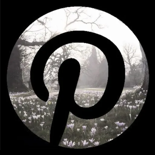 creator Yoriko Hikari's avatar