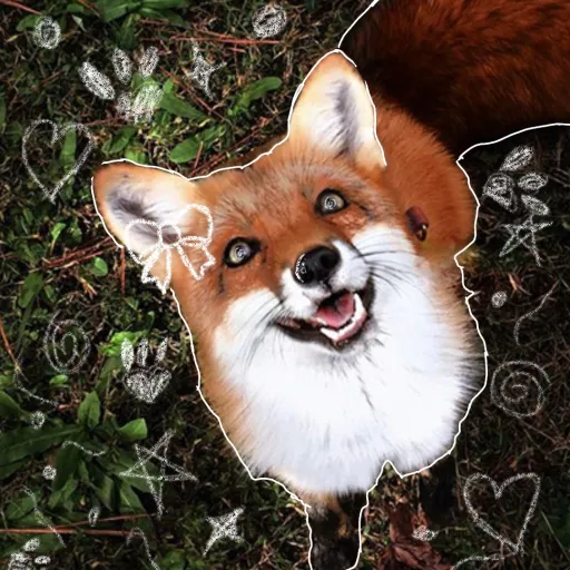 creator 🐾Willow paw🐾's avatar