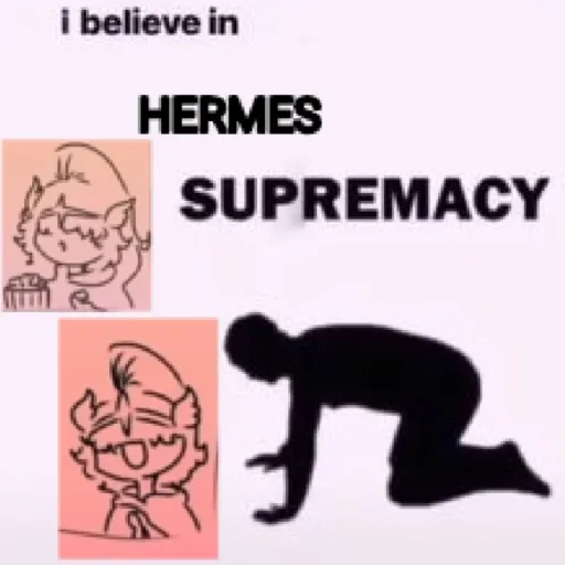 creator Meøw's avatar