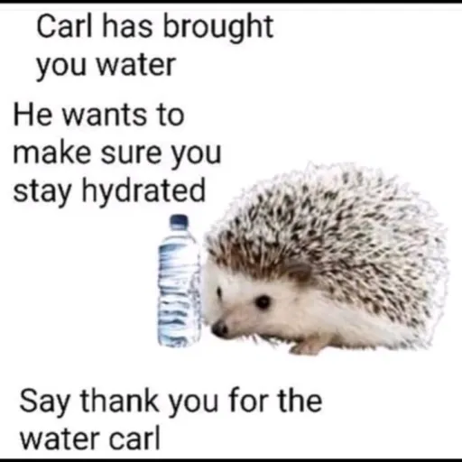 creator blizø1's avatar