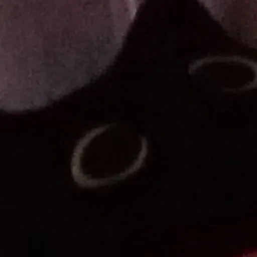 creator mello8's avatar