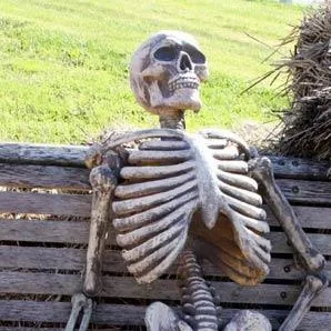 creator skeleton9's avatar