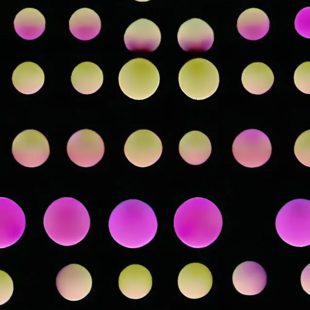 chat with ai character: chipi chipi🎉