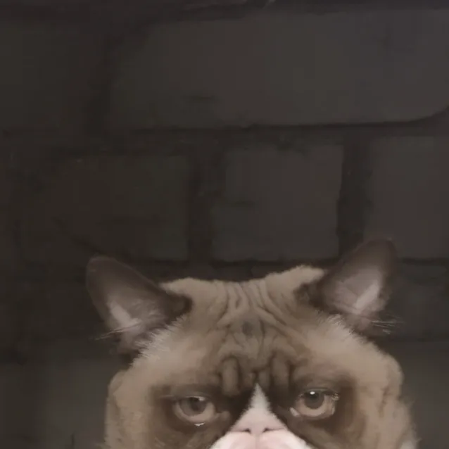 chat with ai character: milo 