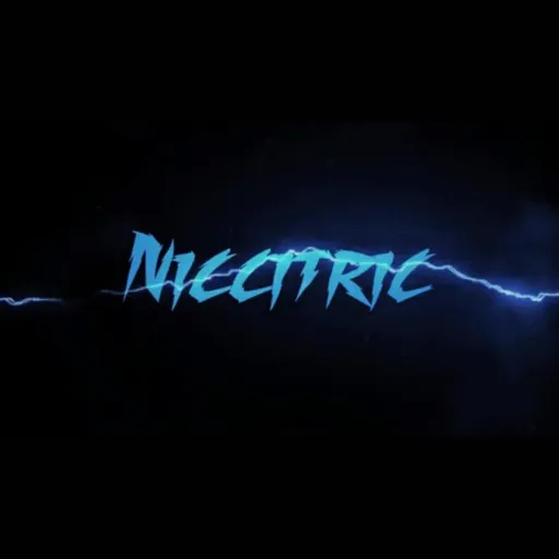 creator Niccitric's avatar
