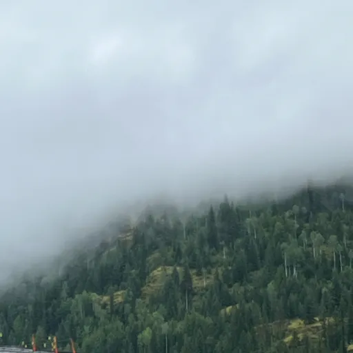 creator Milo_meli's avatar