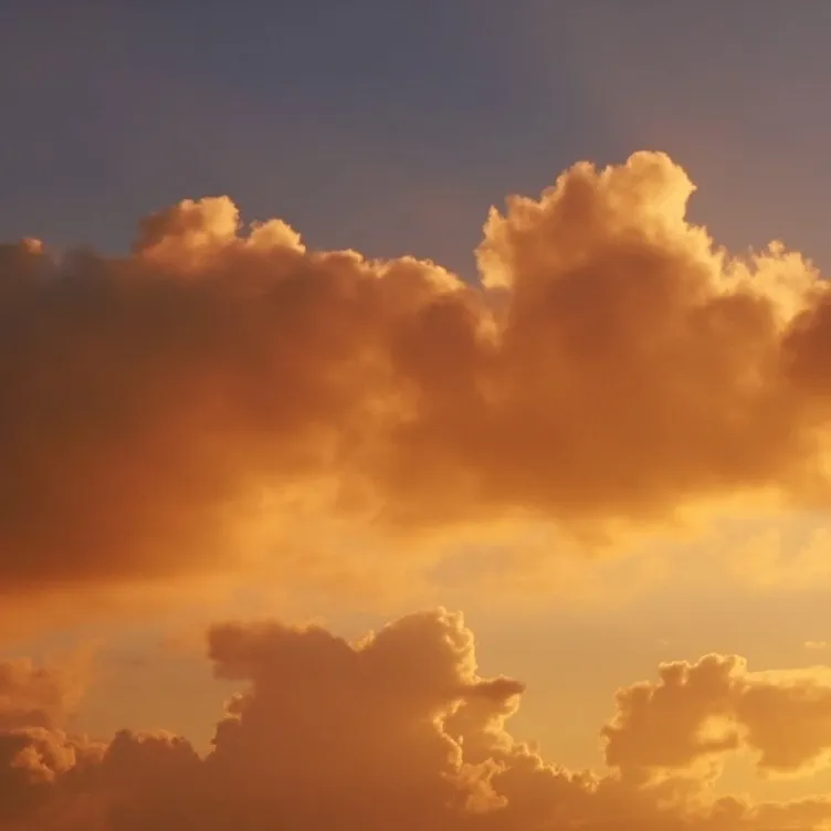 chat with ai character: The coral band