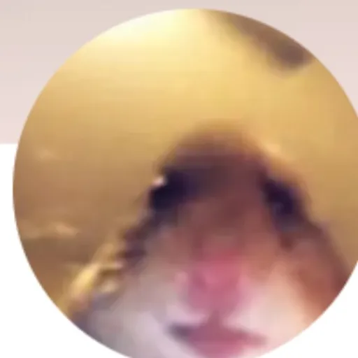 creator hammy😎's avatar