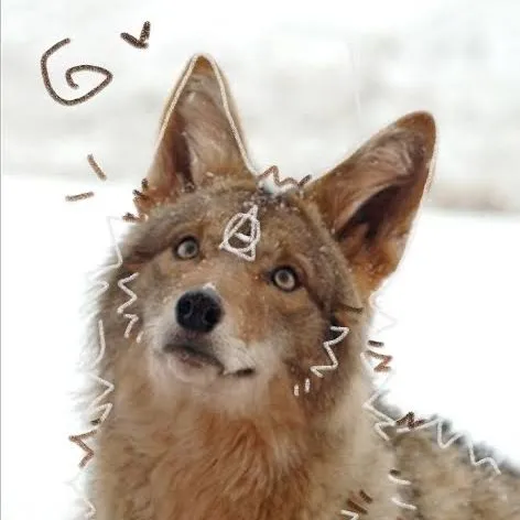 creator coyote_therian :3's avatar