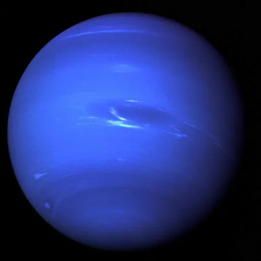 creator neptune NOT POSIED's avatar