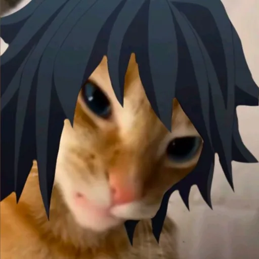 creator Tom1oka-san's avatar
