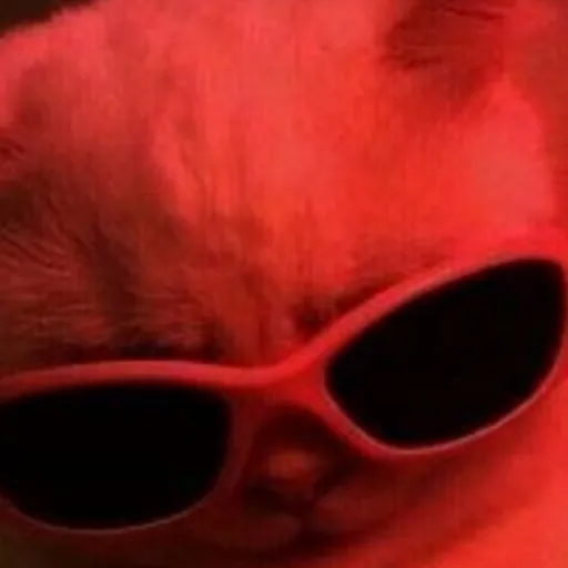 creator boom_ shakalaka's avatar