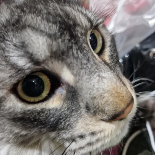 creator Gay_man7's avatar