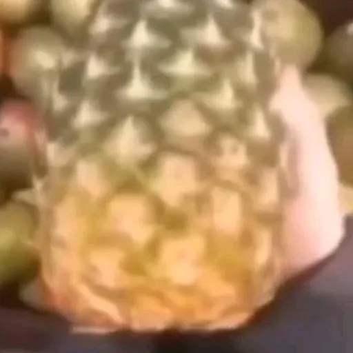 creator 🍍🗿PINEAPPLE🗿🍍's avatar