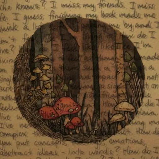 creator ꧁ᖴISᕼᗷ𖤐ᑎE꧂'s avatar