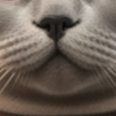 chat with ai character: Milkshake