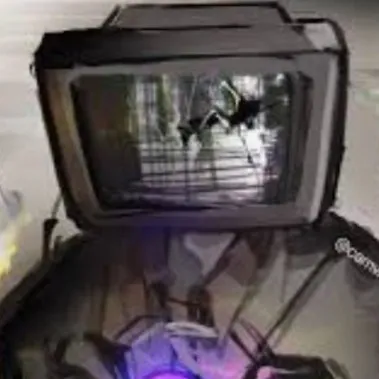 creator skibidi sigma123's avatar
