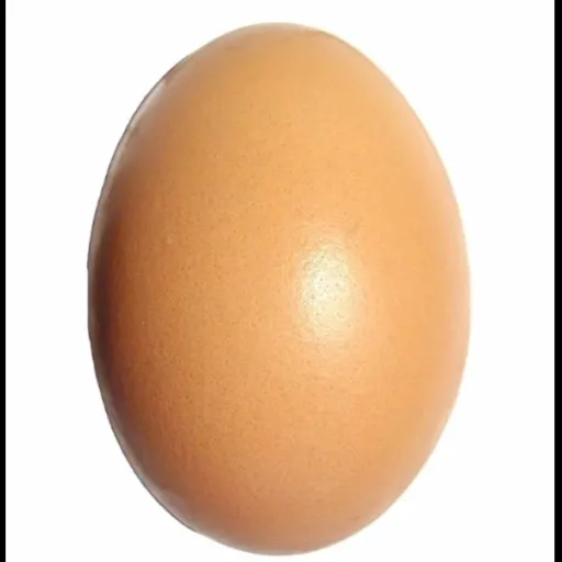 creator 1eggs1egs's avatar