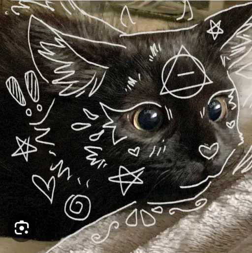 creator kamiya-cat's avatar