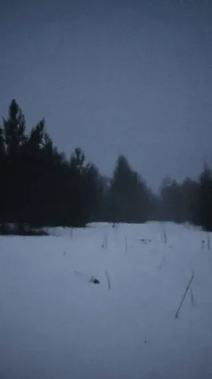 ai character: nevar background