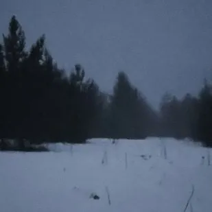 chat with ai character: nevar