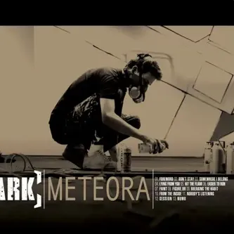creator METEORA IS LIFEEEE's avatar