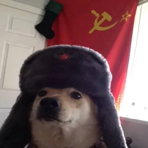 creator Comrade doggo's avatar