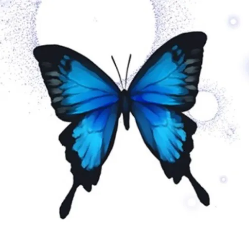 creator Jewel of the night's avatar