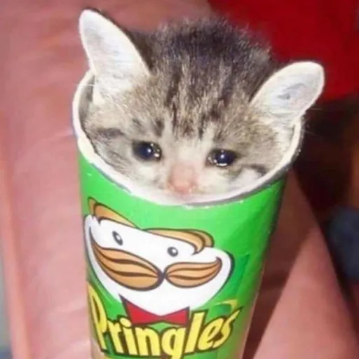 creator pringles car's avatar