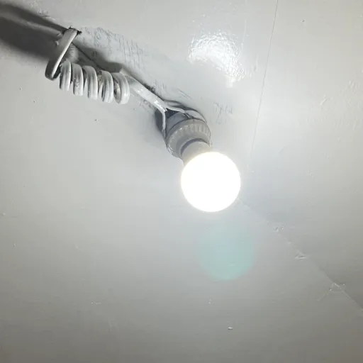 creator A lightbulb lol's avatar