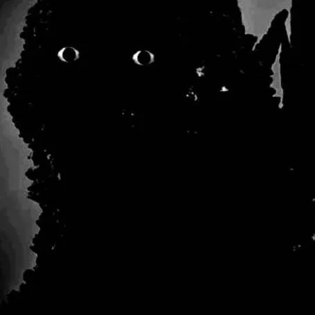 creator ....why......'s avatar