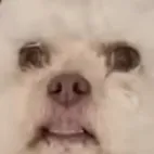 creator ohiobutticklingguy's avatar