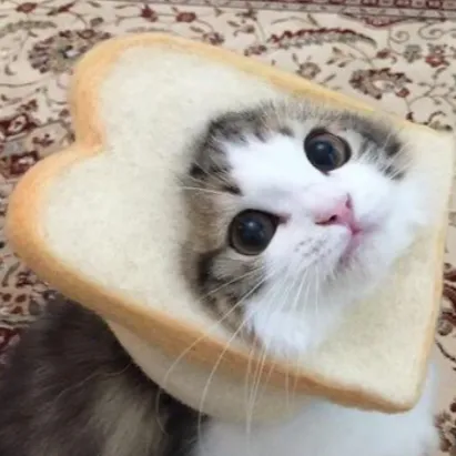 creator Cat_loaf's avatar